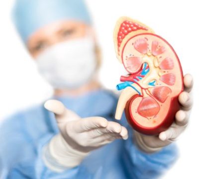 Nephrology (1)