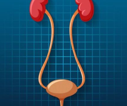 Urology
